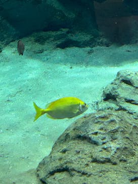 名古屋港水族館に投稿された画像（2023/3/26）