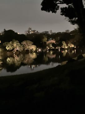 六義園に投稿された画像（2023/3/26）