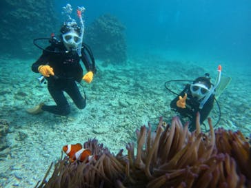 初心者専門マリンサービスサンフィッシュ石垣島に投稿された画像（2023/3/26）