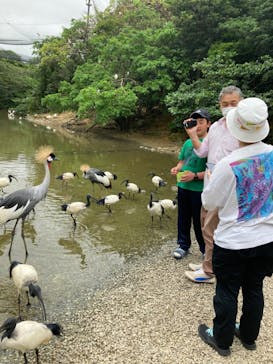 ネオパークオキナワに投稿された画像（2023/3/26）