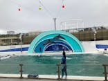 鴨川シーワールドに投稿された画像（2023/3/26）