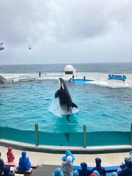鴨川シーワールドに投稿された画像（2023/3/26）