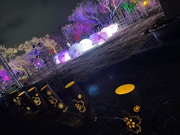 せんだい農業園芸センター　みどりの杜に投稿された画像（2023/3/26）