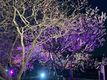 せんだい農業園芸センター　みどりの杜に投稿された画像（2023/3/26）