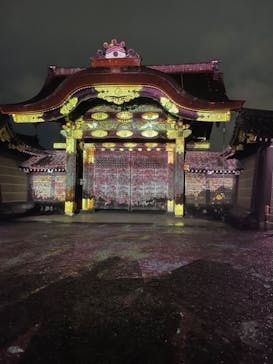 『NAKED FLOWERS 2023 桜 世界遺産・二条城』に投稿された画像（2023/3/26）