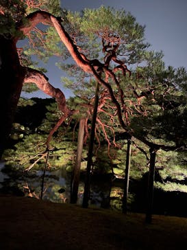 六義園に投稿された画像（2023/3/26）