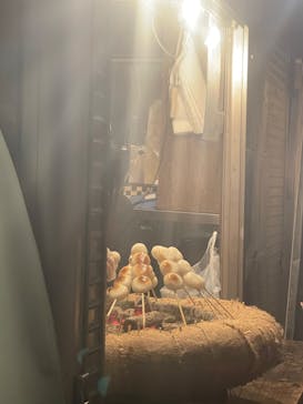 六義園に投稿された画像（2023/3/26）