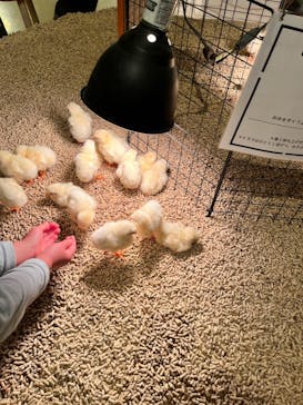 Moff animal cafe イオンモール幕張新都心店に投稿された画像（2023/3/26）