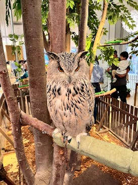 Moff animal cafe イオンモール幕張新都心店に投稿された画像（2023/3/26）