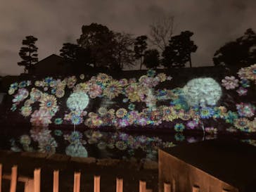 『NAKED FLOWERS 2023 桜 世界遺産・二条城』に投稿された画像（2023/3/26）