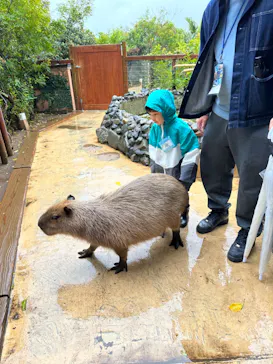 横浜・八景島シーパラダイスに投稿された画像（2023/3/26）