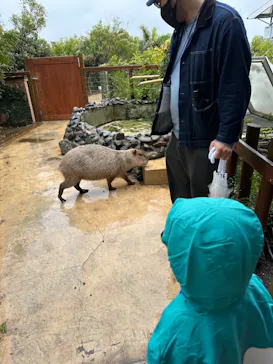 横浜・八景島シーパラダイスに投稿された画像（2023/3/26）