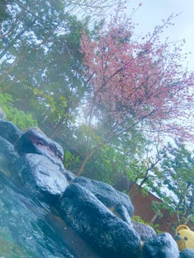 大江戸温泉物語 浦安万華郷に投稿された画像（2023/3/26）