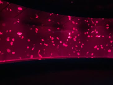 サンシャイン水族館に投稿された画像（2023/3/26）