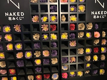 『NAKED FLOWERS 2023 桜 世界遺産・二条城』に投稿された画像（2023/3/26）