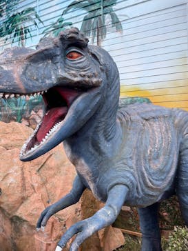 グリーンランドに投稿された画像（2023/3/26）