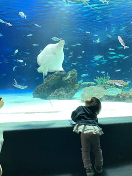 河口湖 音楽と森の美術館に投稿された画像（2023/3/26）