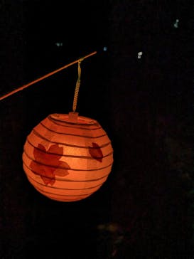 六義園に投稿された画像（2023/3/26）