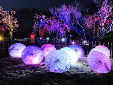 せんだい農業園芸センター　みどりの杜に投稿された画像（2023/3/26）