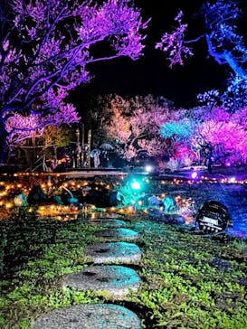 せんだい農業園芸センター　みどりの杜に投稿された画像（2023/3/26）