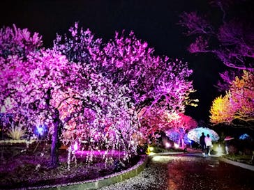 せんだい農業園芸センター　みどりの杜に投稿された画像（2023/3/26）