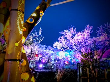 せんだい農業園芸センター　みどりの杜に投稿された画像（2023/3/26）