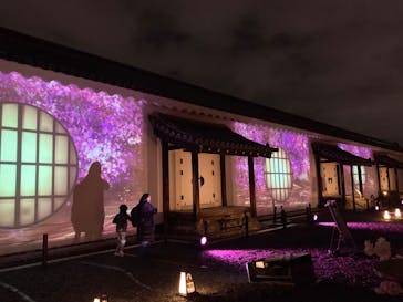 『NAKED FLOWERS 2023 桜 世界遺産・二条城』に投稿された画像（2023/3/26）