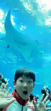 沖縄美ら海水族館に投稿された画像（2023/3/26）