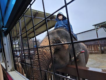 那須サファリパークに投稿された画像（2023/3/26）