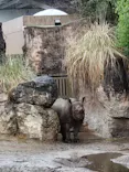 天王寺動物園に投稿された画像（2023/3/27）