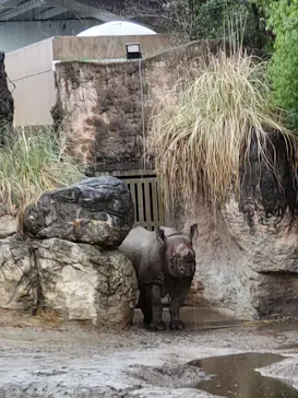 天王寺動物園に投稿された画像（2023/3/26）