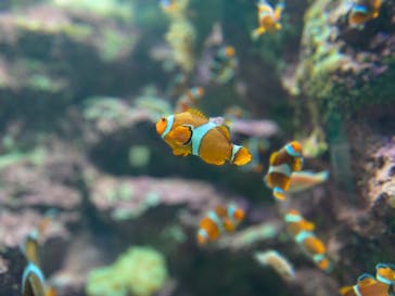 サンシャイン水族館に投稿された画像（2023/3/26）