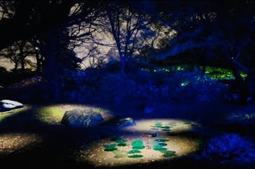 六義園に投稿された画像（2023/3/26）