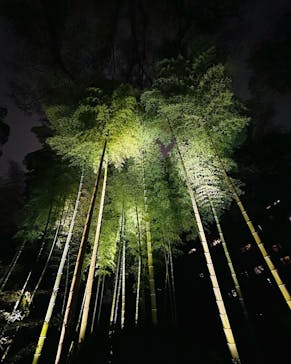 六義園に投稿された画像（2023/3/26）