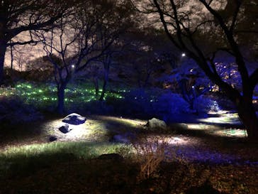 六義園に投稿された画像（2023/3/26）