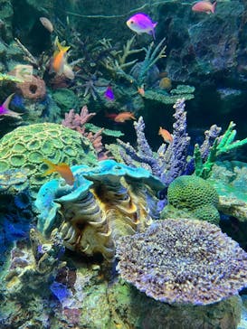 サンシャイン水族館に投稿された画像（2023/3/27）