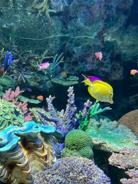 サンシャイン水族館に投稿された画像（2023/3/27）