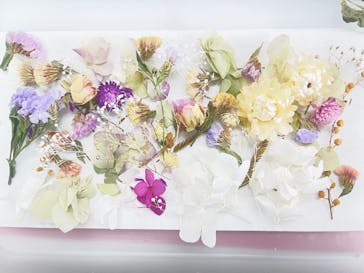 ずこうしつ〜sugamo〜に投稿された画像（2023/3/27）