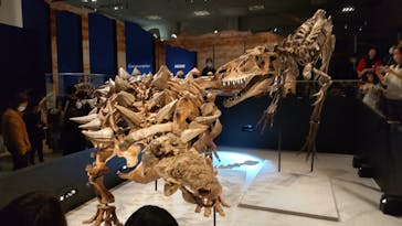 特別展「恐竜博2023」に投稿された画像（2023/3/27）