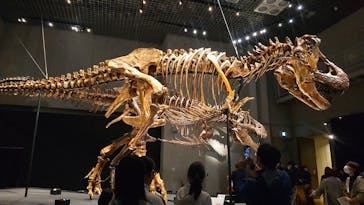 特別展「恐竜博2023」に投稿された画像（2023/3/27）