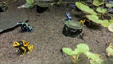 サンシャイン水族館に投稿された画像（2023/3/27）