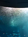 名古屋港水族館に投稿された画像（2023/3/27）