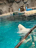 名古屋港水族館に投稿された画像（2023/3/27）