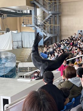 アクアワールド茨城県大洗水族館に投稿された画像（2023/3/27）