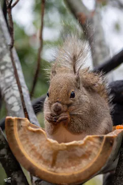 神戸どうぶつ王国に投稿された画像（2023/3/27）
