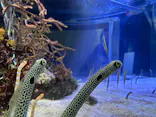 名古屋港水族館に投稿された画像（2023/3/27）