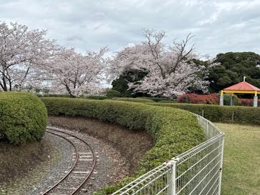 千葉こどもの国 キッズダムに投稿された画像（2023/3/27）