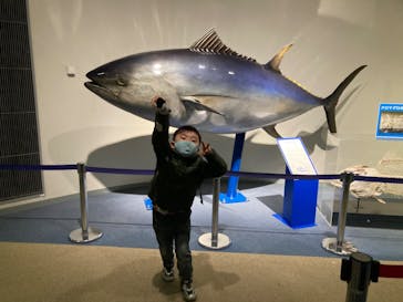 名古屋港水族館に投稿された画像（2023/3/27）