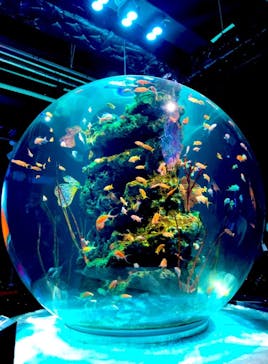 神戸みなと温泉 蓮に投稿された画像（2023/3/27）