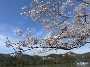 恵那峡遊覧船に投稿された画像（2023/3/27）